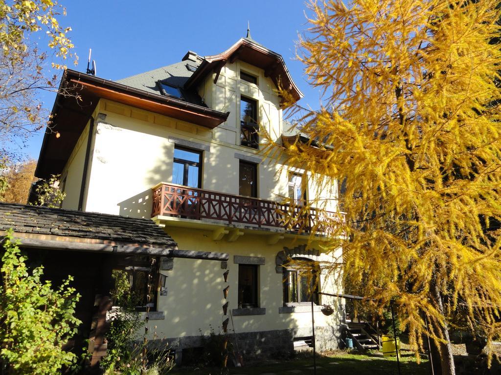 Les Terrasses Des Glaciers - Appartement 2 Шамони Стая снимка